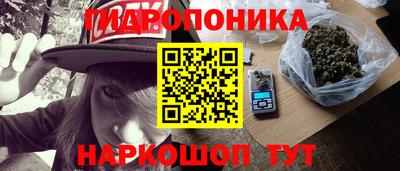 твердый Лесосибирск
