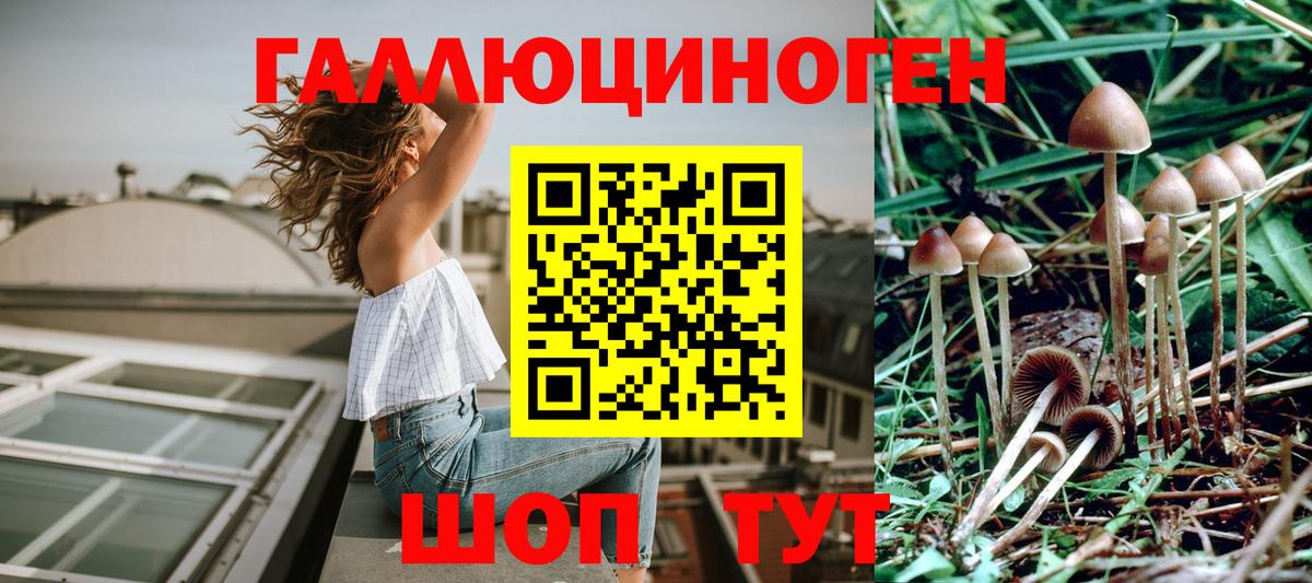 Галлюциногенные грибы Psilocybe Заволжье